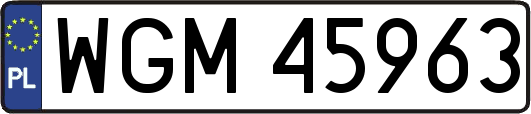 WGM45963