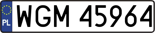WGM45964