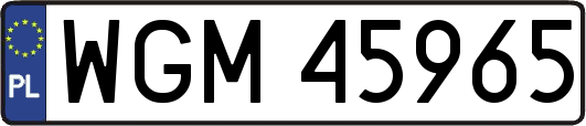 WGM45965
