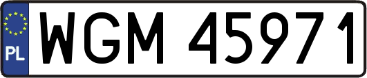 WGM45971