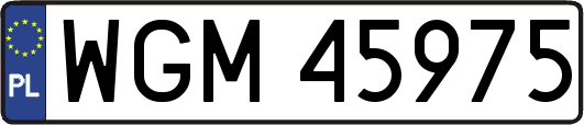 WGM45975