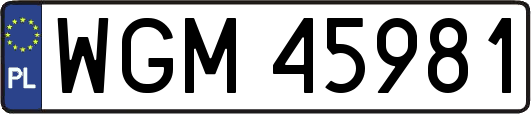WGM45981
