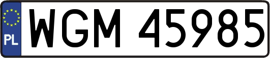 WGM45985