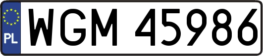 WGM45986