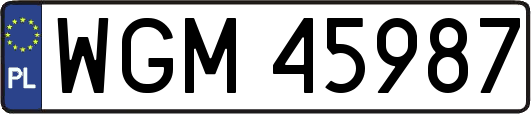 WGM45987