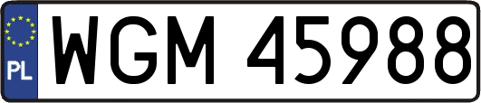 WGM45988