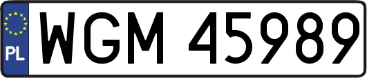 WGM45989