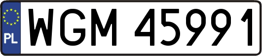 WGM45991