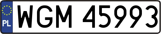 WGM45993