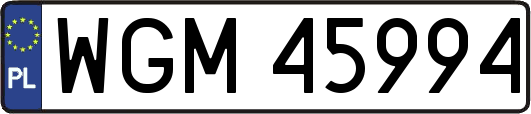 WGM45994