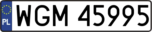 WGM45995