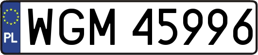 WGM45996
