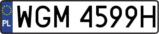 WGM4599H