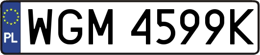 WGM4599K