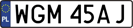 WGM45AJ