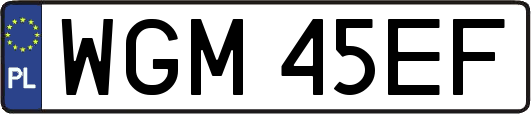 WGM45EF