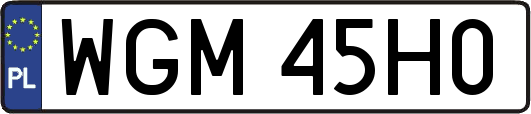 WGM45H0