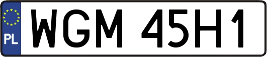 WGM45H1