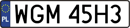 WGM45H3