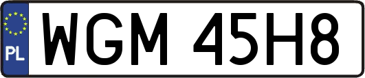 WGM45H8