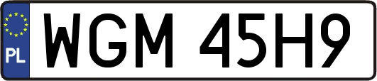 WGM45H9