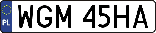 WGM45HA