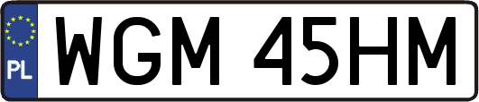 WGM45HM