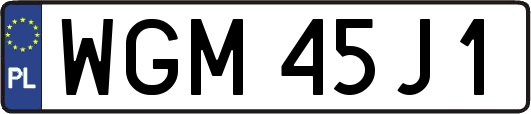 WGM45J1