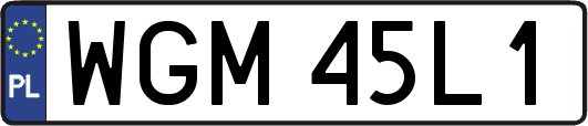 WGM45L1