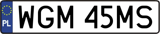 WGM45MS