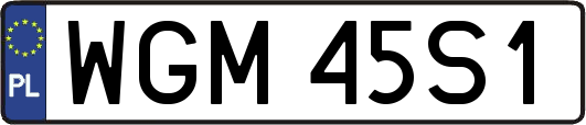 WGM45S1