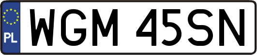 WGM45SN