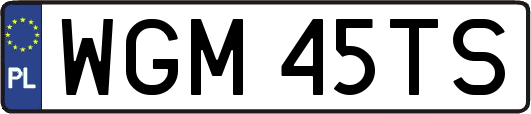 WGM45TS