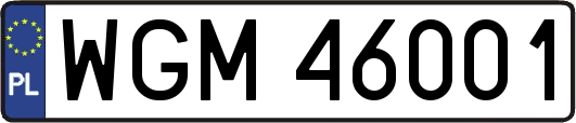 WGM46001