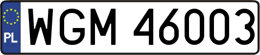 WGM46003