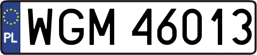WGM46013