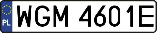 WGM4601E
