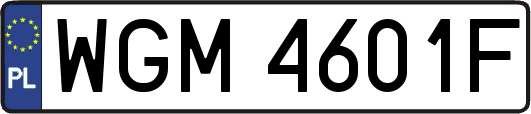 WGM4601F