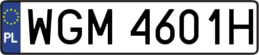 WGM4601H