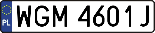 WGM4601J