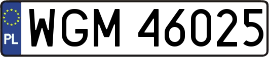 WGM46025