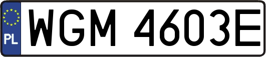 WGM4603E
