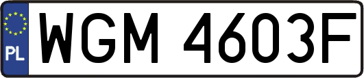 WGM4603F