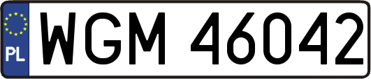 WGM46042