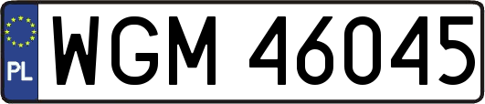 WGM46045