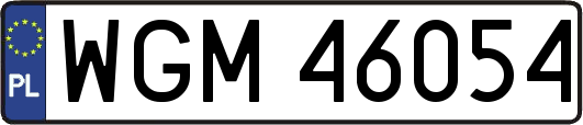 WGM46054