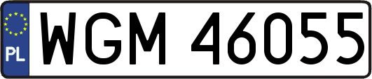 WGM46055