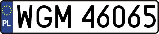 WGM46065