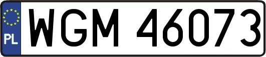 WGM46073