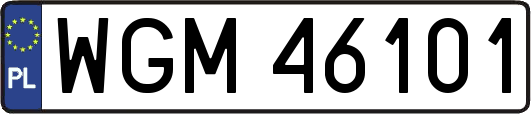 WGM46101